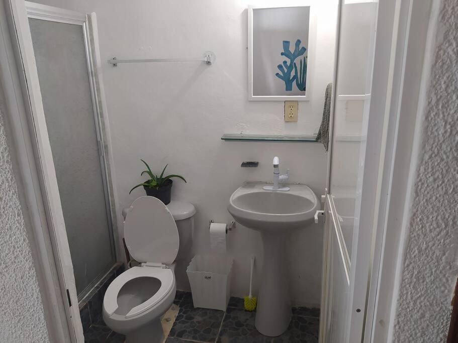 Apartmán Arrecife Cancún Exteriér fotografie